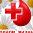 На базе Дубровской ЦРБ пройдет очередной День донора - Знамя Труда