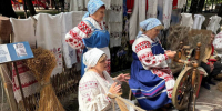 Дубровский и Рогнединский районы представили свои достижения на Днях мунипалитетов - Знамя Труда