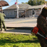 Брянские трудовые коллективы вышли на субботники - Знамя Труда
