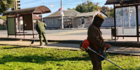 Брянские трудовые коллективы вышли на субботники - Знамя Труда